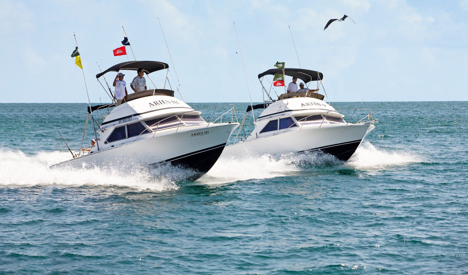Pesca deportiva en Mazatlán y Cancún - Riviera Maya Aries Fleet Sport